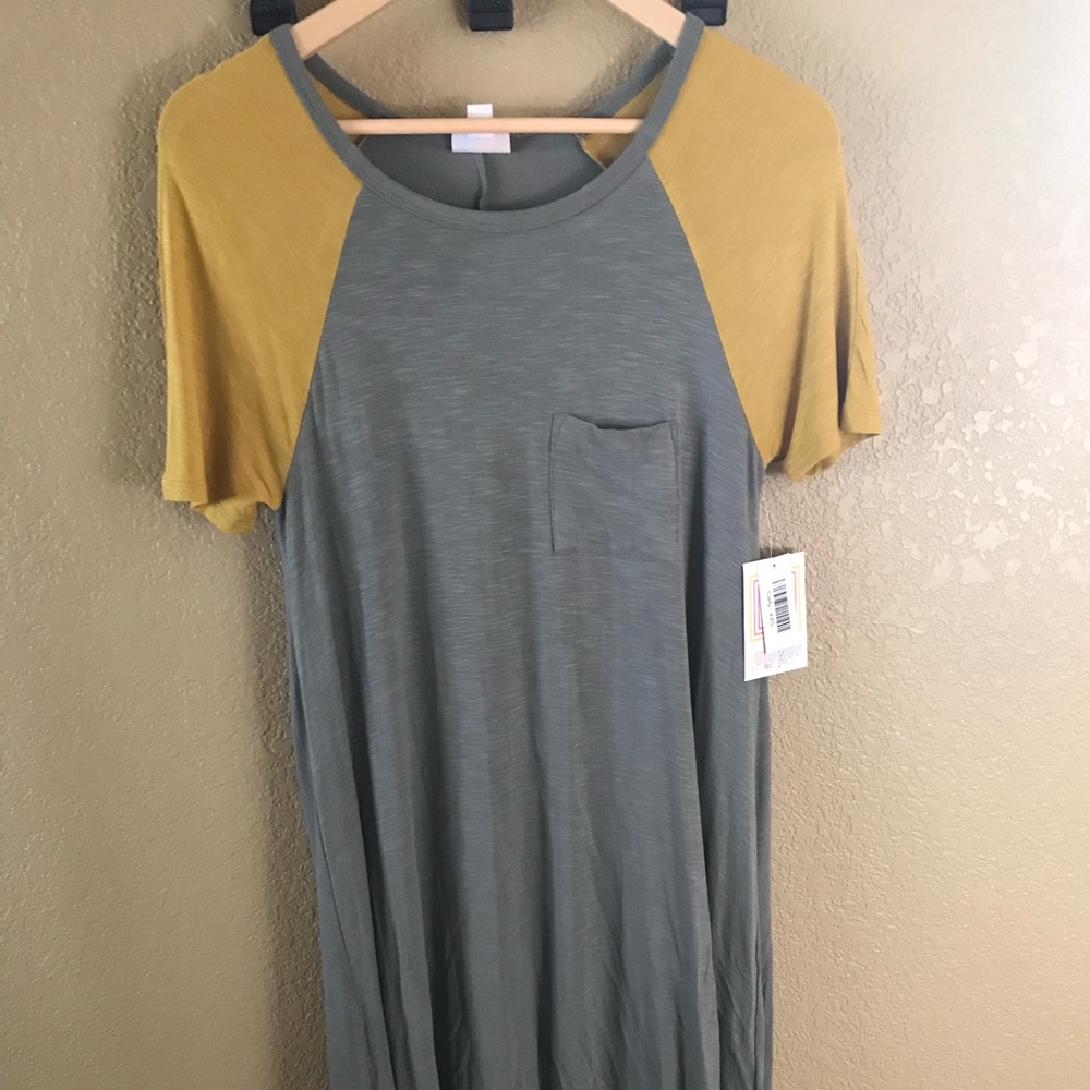 NWT....Lularoe Carly swing dress. Size xxs.